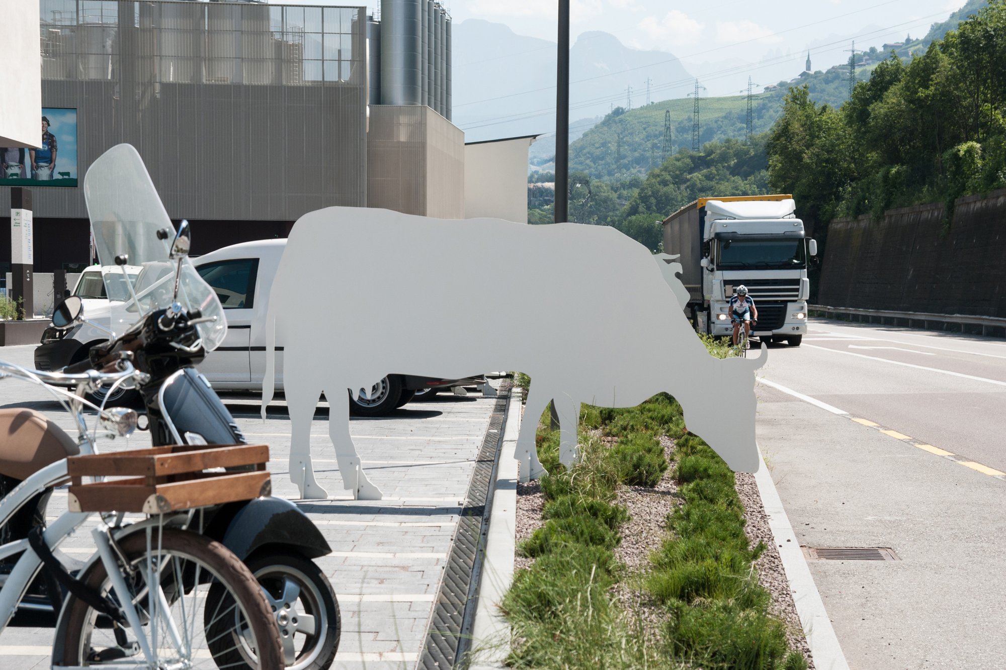 Mila Bergmilch Südtirol