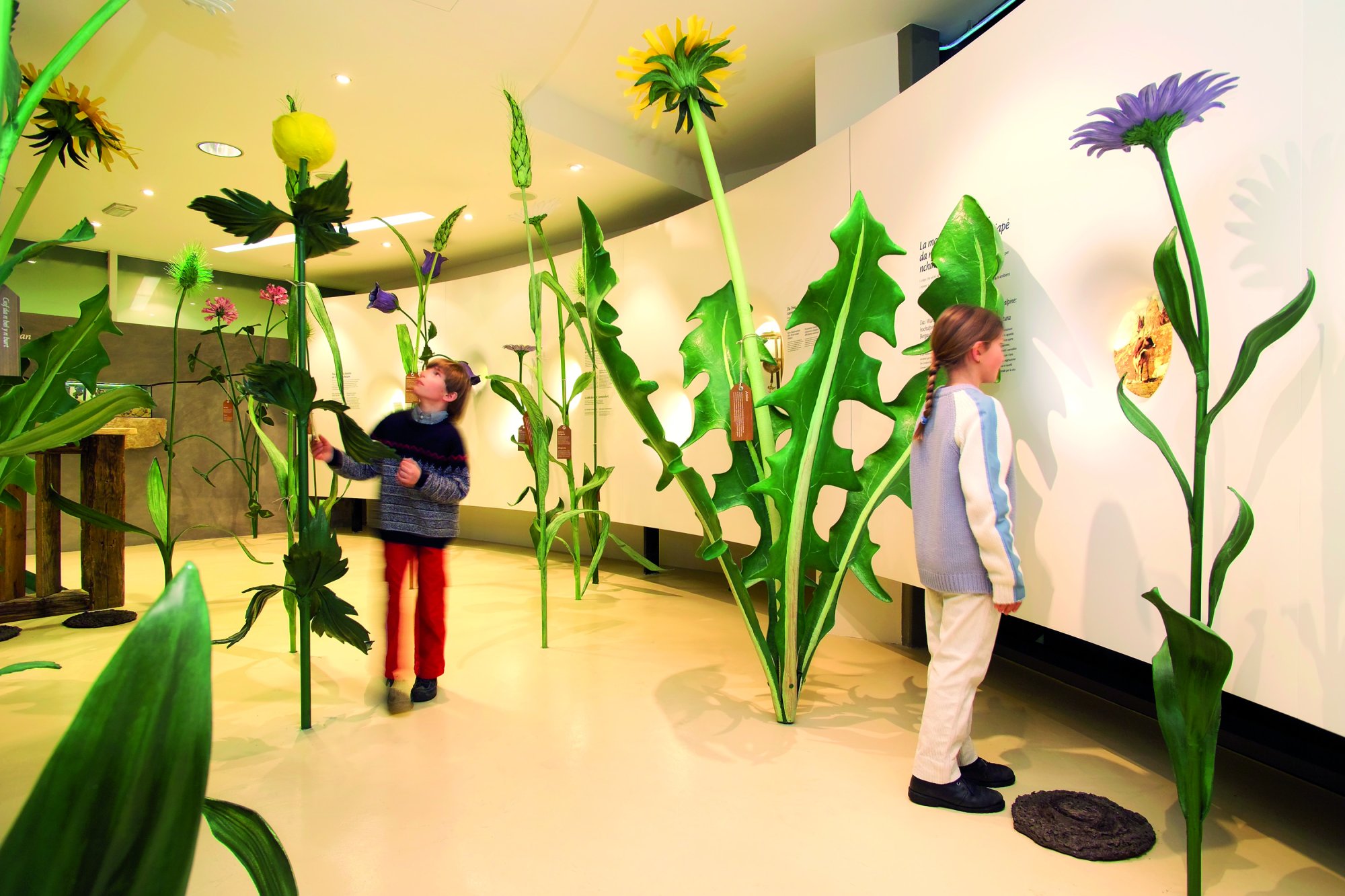 Gherdëina Lat – Milchmuseum