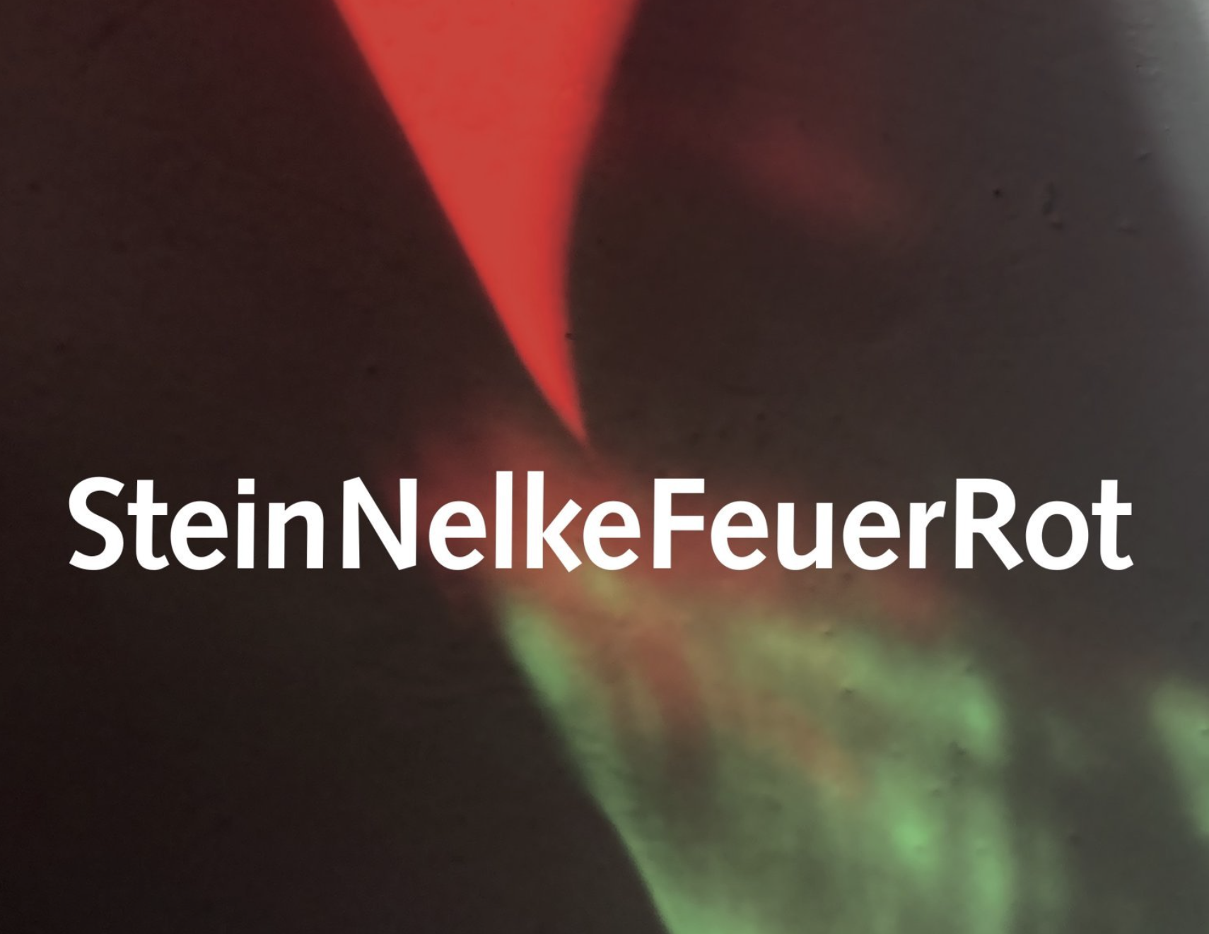 Kunst in der Kartause 2023