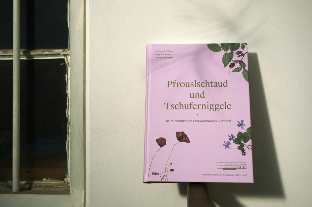 Das Pflanzenbuch "Pfrouslschtaud & Tschuferniggele" 